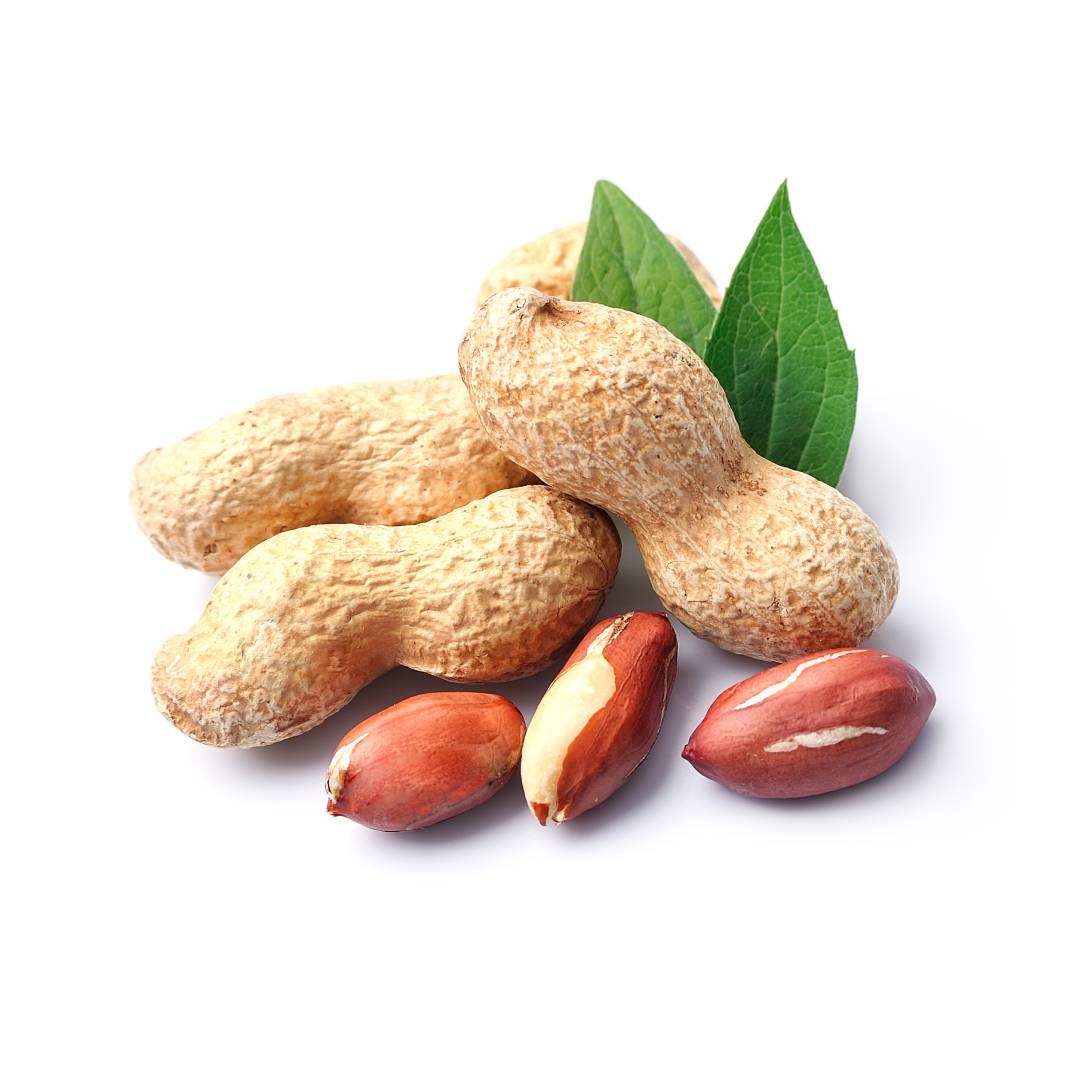 Groundnuts
