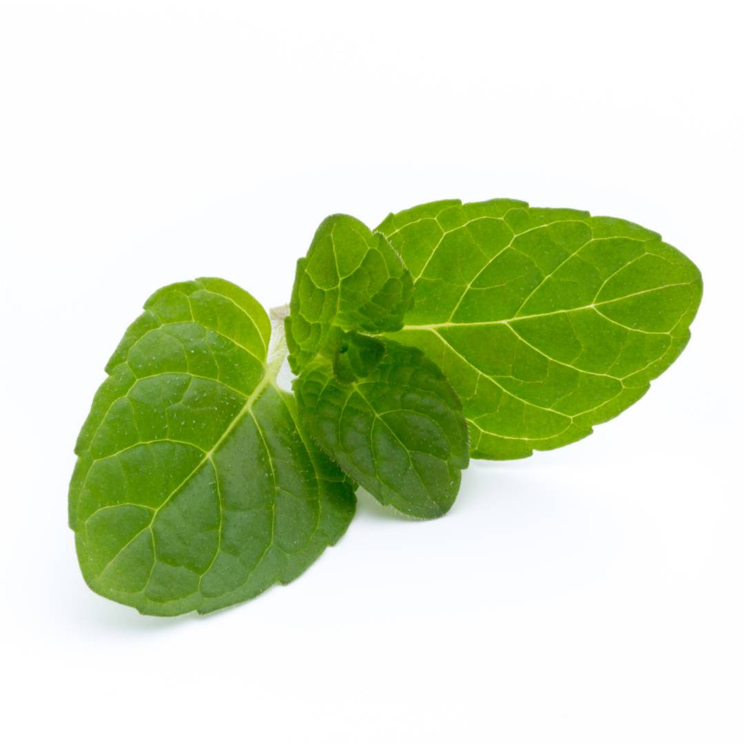 Peppermint Essential Oil
