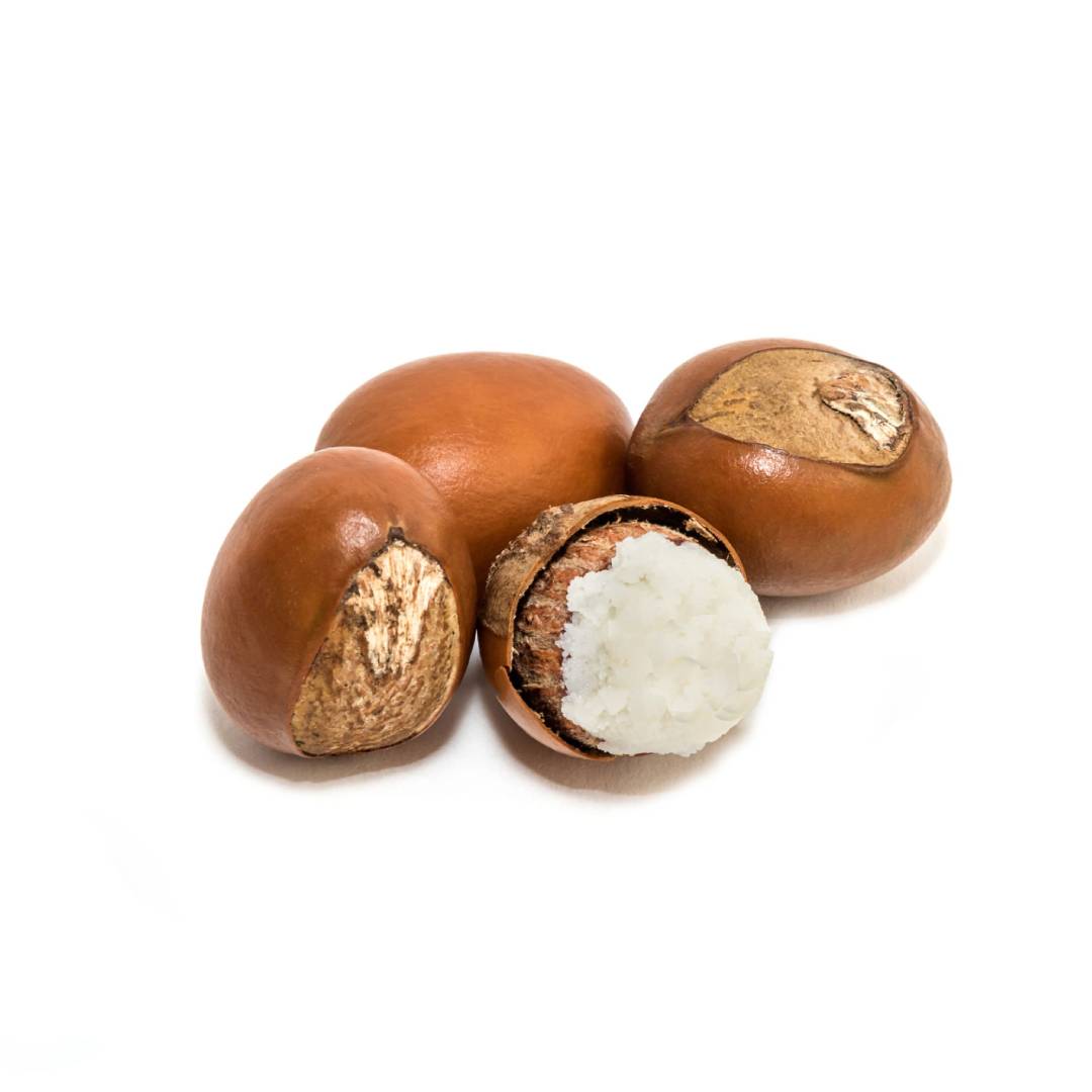 Shea Butter Refined